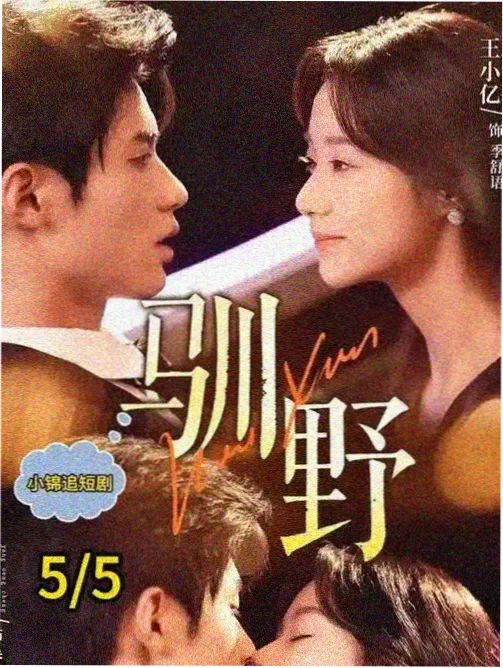 星辰影院官网年代剧《河岸纪事》海报